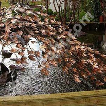 آبنماهای درختی 01